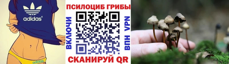 Псилоцибиновые грибы Psilocybine cubensis  Сасово 