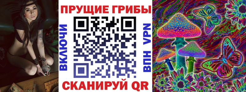 Галлюциногенные грибы Psilocybe Сасово
